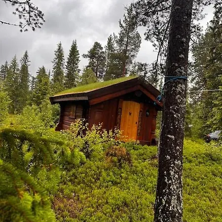 Idyllisk Sted Pa *